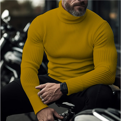 Men's ribbed turtleneck slim fit sweater