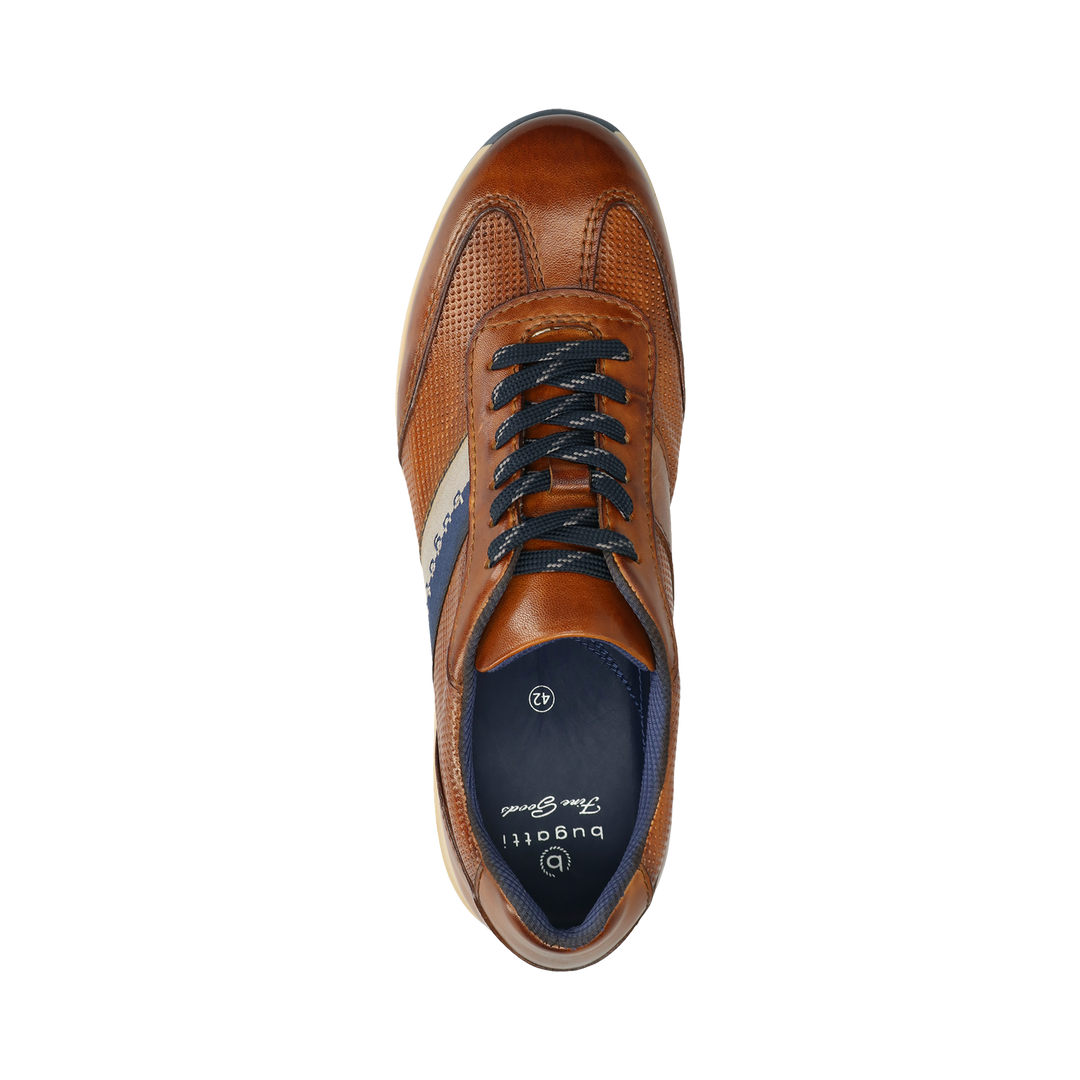 Men's brown lace-up trainers with navy side panel and cream sole